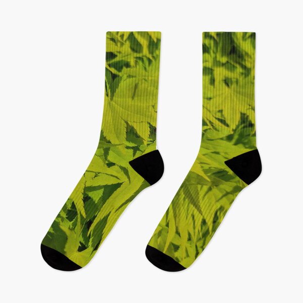 Item preview, Fresh Green Japanese Maple Leaves designed and sold by Gaboro.
