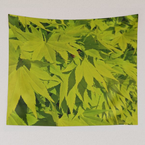 Item preview, Fresh Green Japanese Maple Leaves designed and sold by Gaboro.