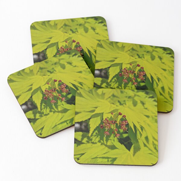 Item preview, Green Japanese Maple Leaves and Red Flower designed and sold by Gaboro.