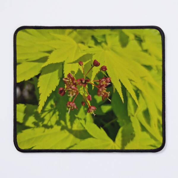 Item preview, Green Japanese Maple Leaves and Red Flower designed and sold by Gaboro.