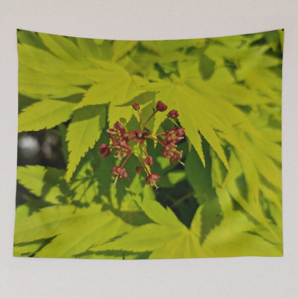 Item preview, Green Japanese Maple Leaves and Red Flower designed and sold by Gaboro.