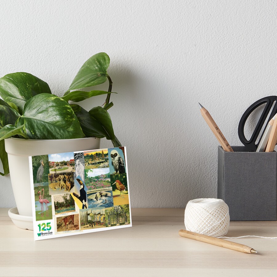 Item preview, Art Board Print designed and sold by WCS-Archives.