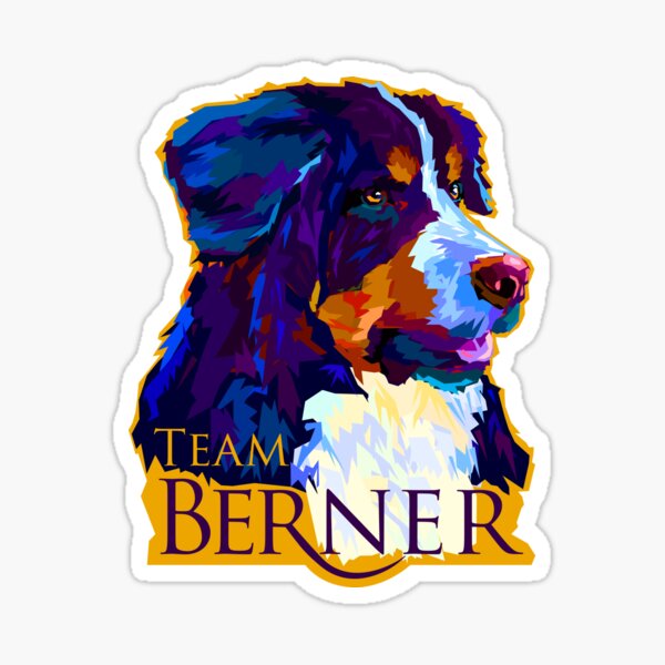 Team Berner Sticker