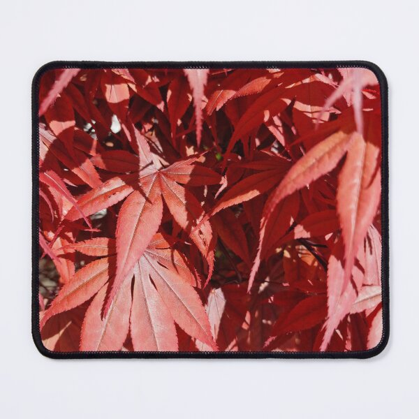 Item preview, Red Japanese Maple Bloodgood Leaves designed and sold by Gaboro.
