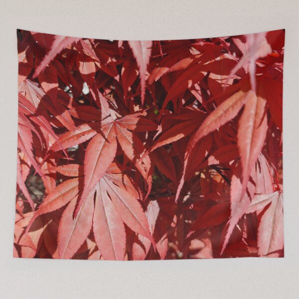 Item preview, Red Japanese Maple Bloodgood Leaves designed and sold by Gaboro.