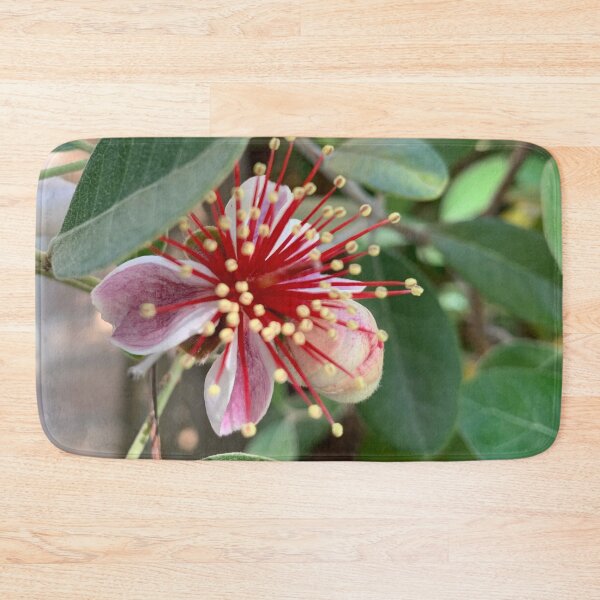 Item preview, Feijoa flower designed and sold by baksuart.