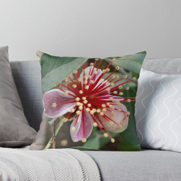 Item preview, Feijoa flower designed and sold by baksuart.