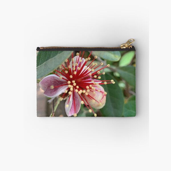Item preview, Feijoa flower designed and sold by baksuart.