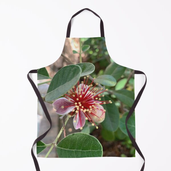 Item preview, Feijoa flower designed and sold by baksuart.