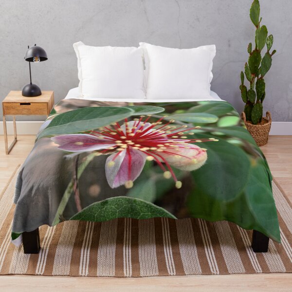 Item preview, Feijoa flower designed and sold by baksuart.