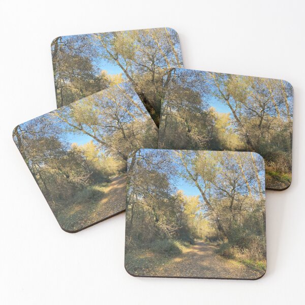 Item preview,  4 The Confluent Park by AFAVISION designed and sold by AFAVISION.