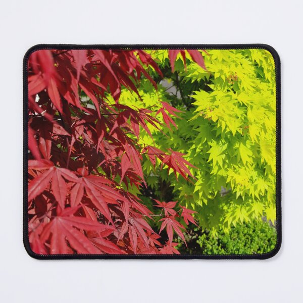 Item preview, Red and Green Japanese Maple Leaves designed and sold by Gaboro.