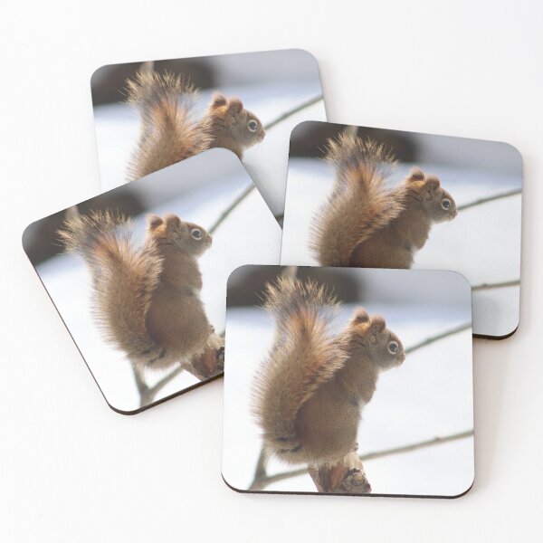 Item preview, The Mischievious Red Squirrel designed and sold by Judy Geller.