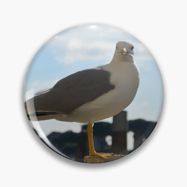 Item preview, Europe - Rome, An attentive observer designed and sold by Natasha Cusmanich.