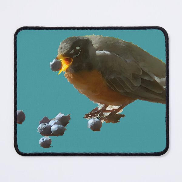 Item preview, Just Mom's Robin Eating Blueberries And Getting His Antioxidants (No Background) designed and sold by Hall-O-Gram.