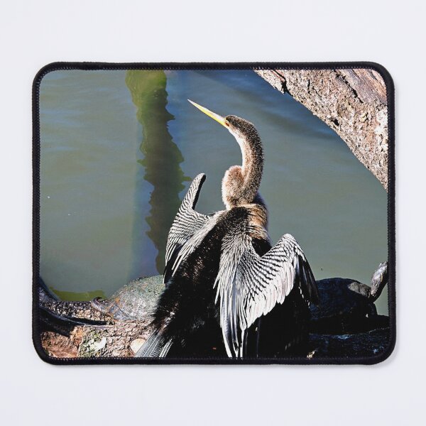 Item preview, Anhinga designed and sold by kcrystalfriend.