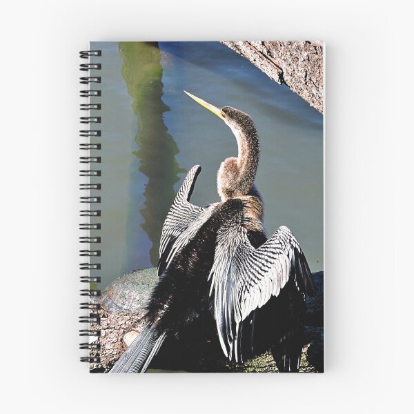 Item preview, Anhinga designed and sold by kcrystalfriend.