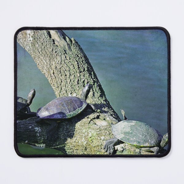 Item preview, Turtle Turtle designed and sold by kcrystalfriend.