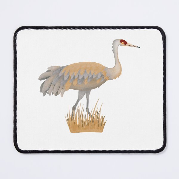 Item preview, Sandhill Crane in the Grass designed and sold by Kelly Lees.