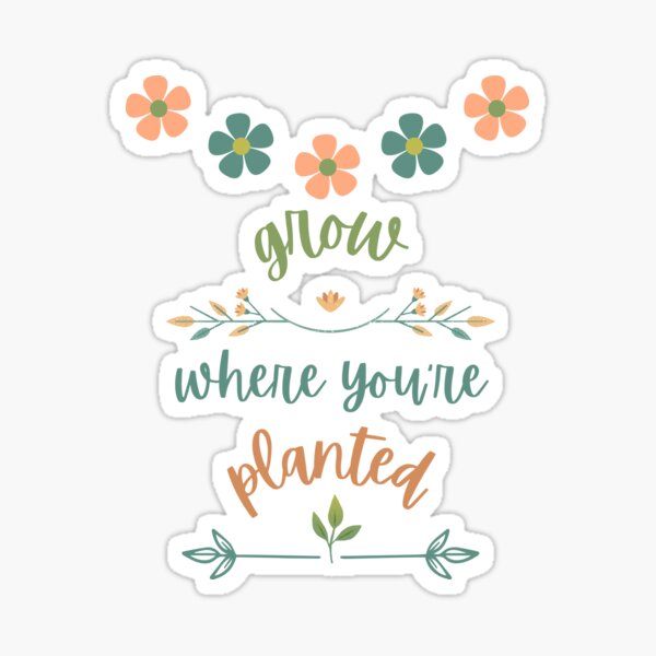 Grow where you're planted Sticker