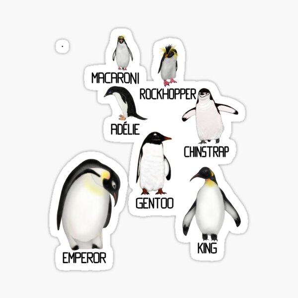 Item preview, Labeled Antarctic Penguins designed and sold by ArtAndBliss.