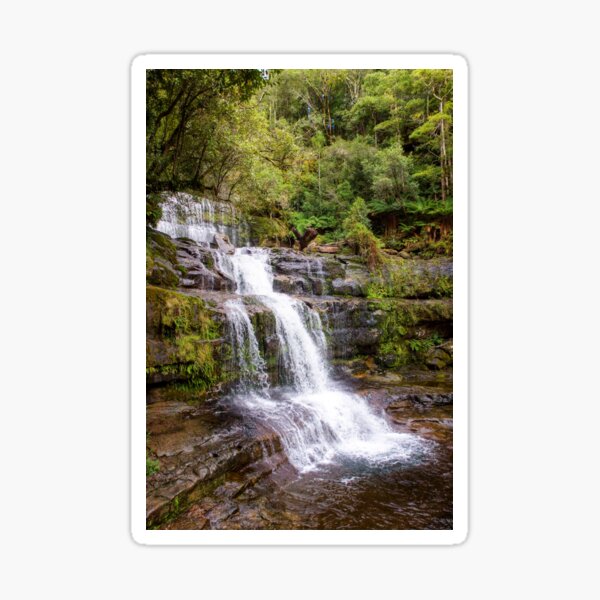 The Liffey Falls, Tasmania Sticker