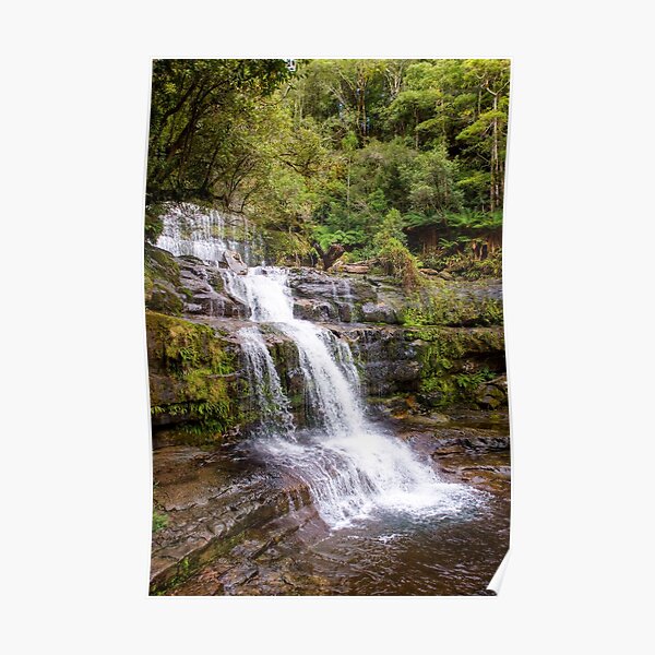 The Liffey Falls, Tasmania Poster