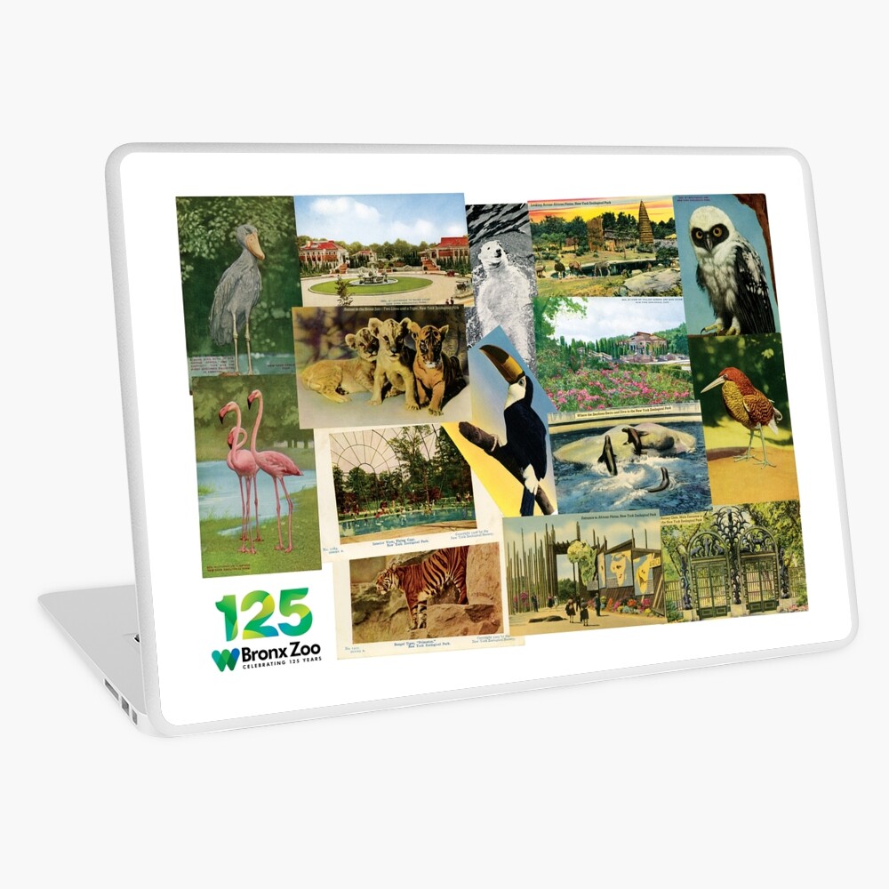 Item preview, Laptop Skin designed and sold by WCS-Archives.