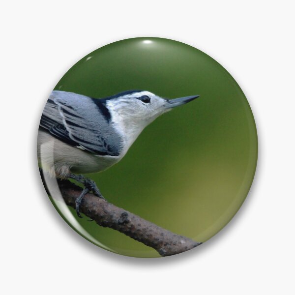 Item preview, White Breasted Nuthatch designed and sold by Debbie Oppermann.