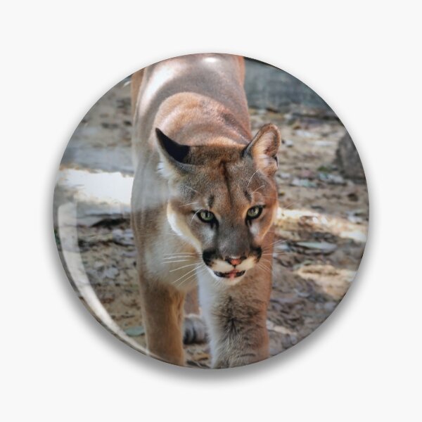 Item preview, Shasta designed and sold by Savannah Gibbs.