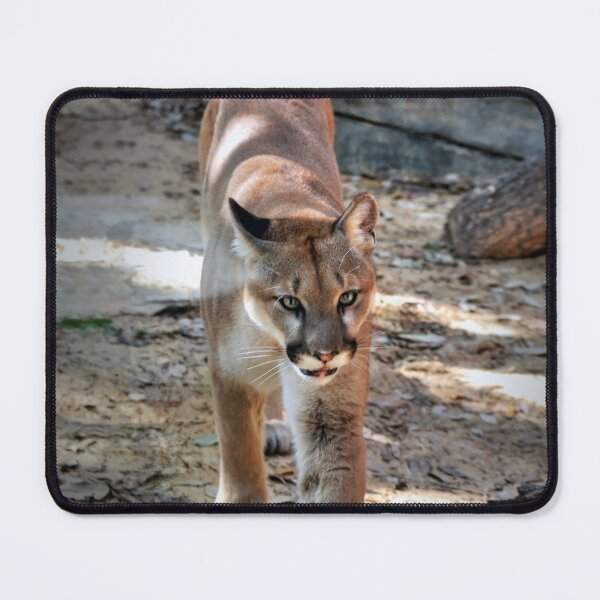Item preview, Shasta designed and sold by Savannah Gibbs.