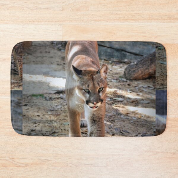 Item preview, Shasta designed and sold by Savannah Gibbs.