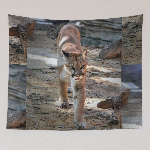 Item preview, Shasta designed and sold by Savannah Gibbs.