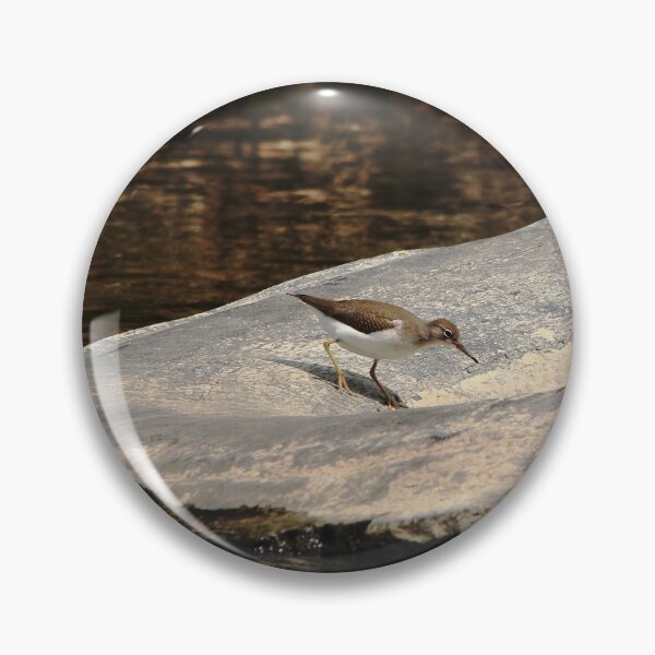 Item preview, Foraging Sandpiper designed and sold by Debbie Oppermann.
