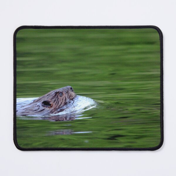 Item preview, Heading Home designed and sold by Debbie Oppermann.