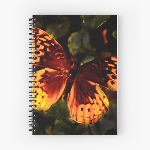 Item preview, backlit butterfly designed and sold by lastgasp.