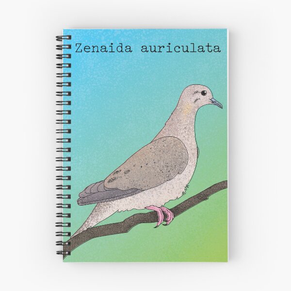 Item preview, Zenaida auriculata - eared dove poster designed and sold by marivin.