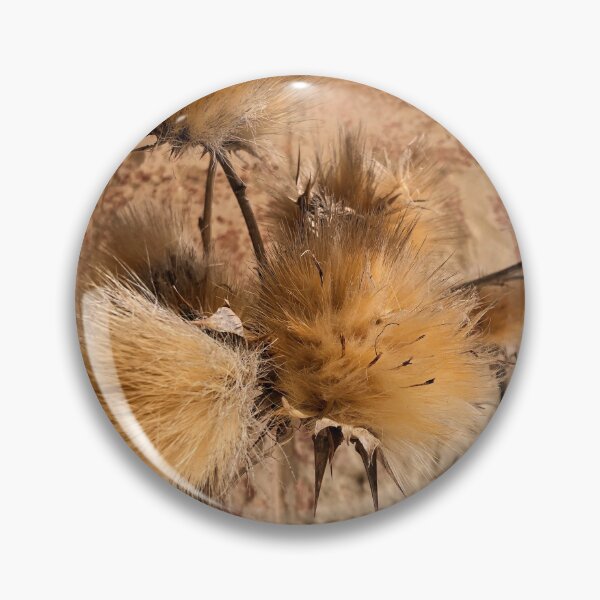 Item preview, Beige Dry Plant, Neutral, Natural  designed and sold by suekieper.