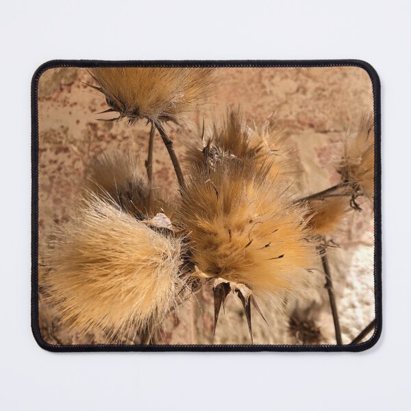 Item preview, Beige Dry Plant, Neutral, Natural designed and sold by suekieper.
