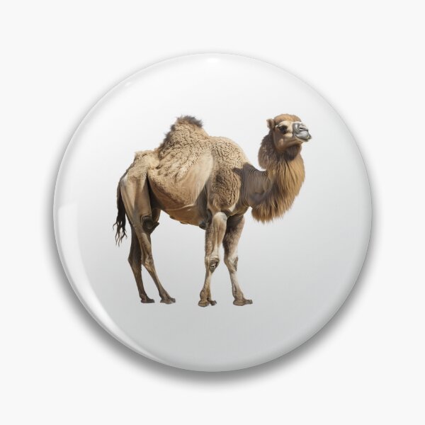 Item preview, Regal Bactrian Camel on a Black Backdrop designed and sold by NatureSyllabus.
