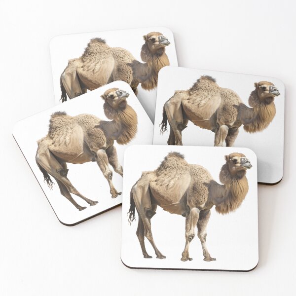 Item preview, Regal Bactrian Camel on a Black Backdrop designed and sold by NatureSyllabus.