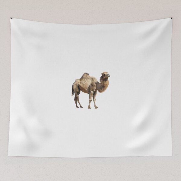 Item preview, Regal Bactrian Camel on a Black Backdrop designed and sold by NatureSyllabus.