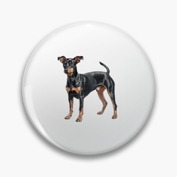 Item preview, Manchester Terrier in Classic Alert Pose designed and sold by NatureSyllabus.