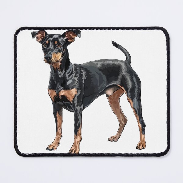 Item preview, Manchester Terrier in Classic Alert Pose designed and sold by NatureSyllabus.