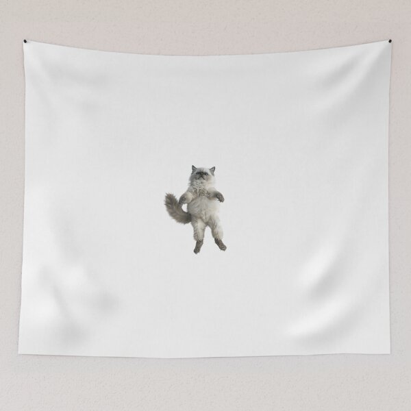 Item preview, Ragdoll Cat Mid-Twirl in Playful Dance designed and sold by NatureSyllabus.