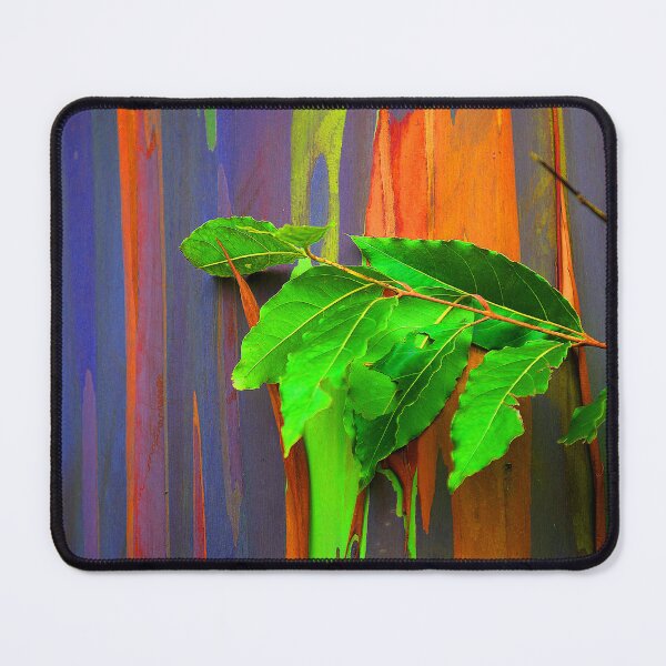 Item preview, Tropical Island Rainbow Eucalyptus Tree Bark Maui, Hawaii designed and sold by DEC02.