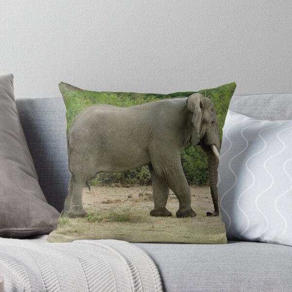 Item preview, dragging your trunk designed and sold by exploramum.