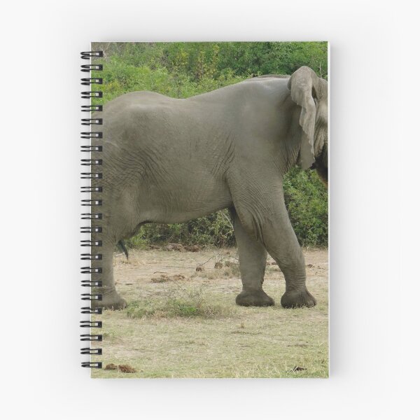 Item preview, dragging your trunk designed and sold by exploramum.