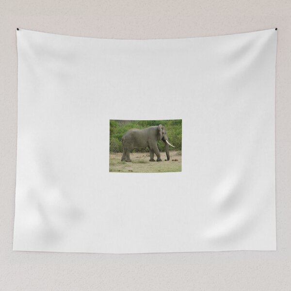 Item preview, dragging your trunk designed and sold by exploramum.
