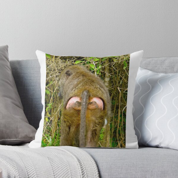 Item preview, baboon bottom designed and sold by exploramum.